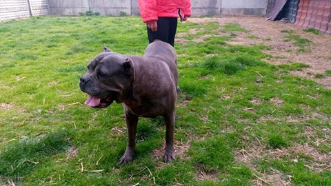 IVY, ehśś..ciągle czekają na swojego człowieka ..a czas leci tak nieubłaganie